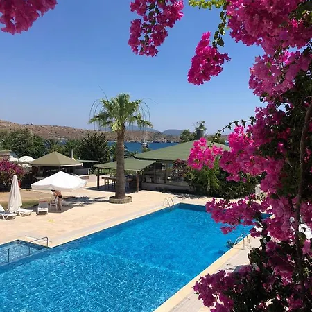 Cove Hotel 2*