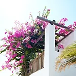 Cove Hotell 2*