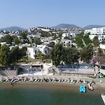 מלון Cove 2*