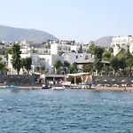 Cove 2*
