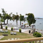 Cove 2*