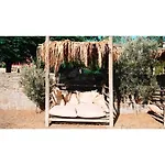 Cove מלון