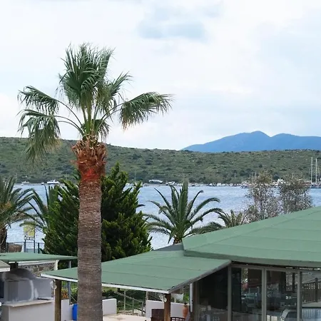 Cove Hotell