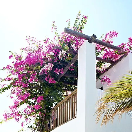 Cove Hotel 2*