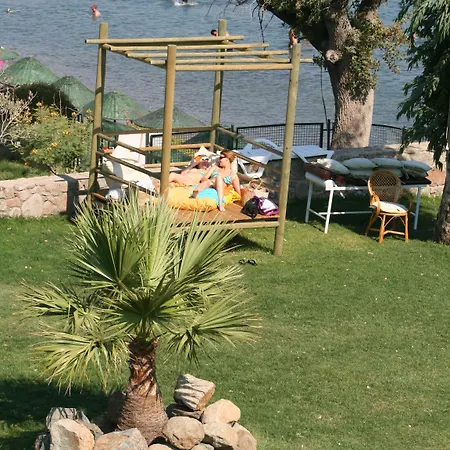 Cove Hotel