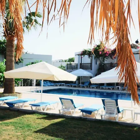 Hotel Cove 2*