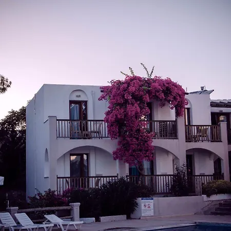 Hotel Cove 2*