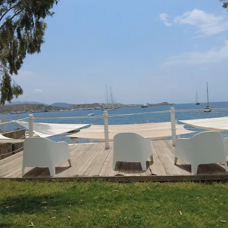 Cove Hotel