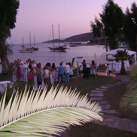 Hotel Cove 2*