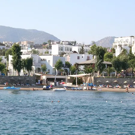 Cove 2*