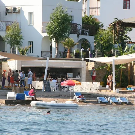 Cove Gumbet