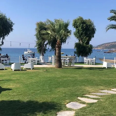 Cove 2* Гумбет