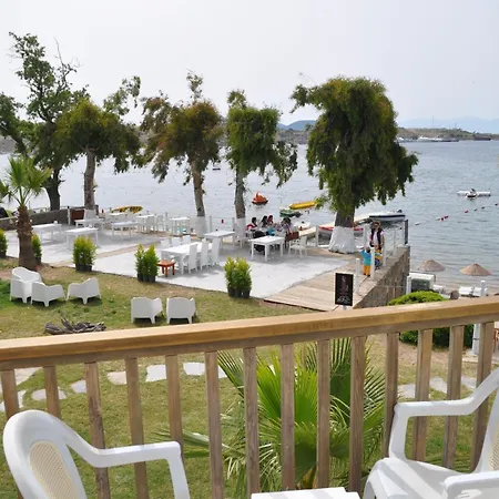 Cove