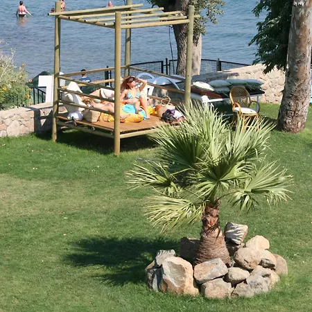 Cove Отель Гумбет