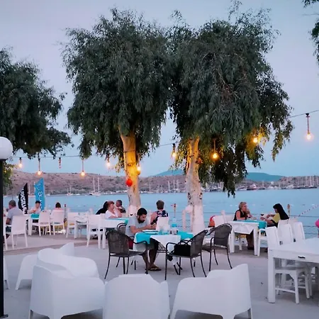 Hotel Cove 2*