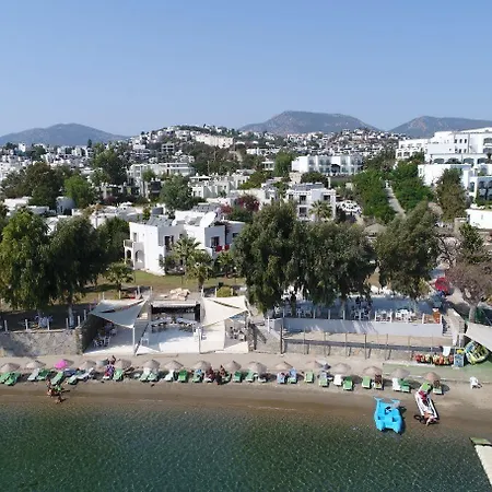 Hotel Cove 2*