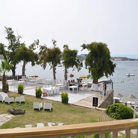 Cove 2*