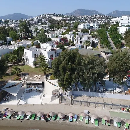 Cove 2* Гумбет